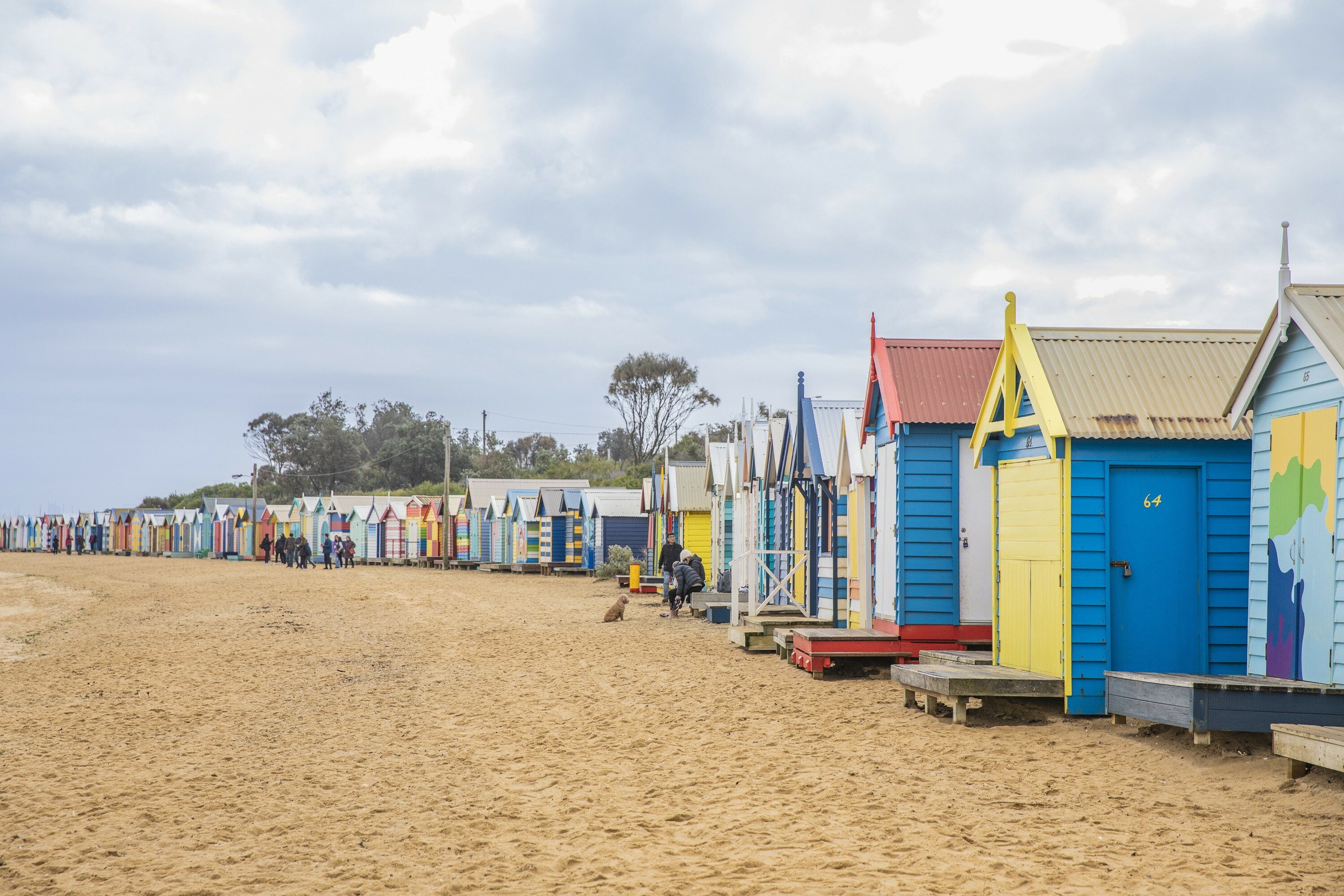 Jellis Craig Brighton Beach image