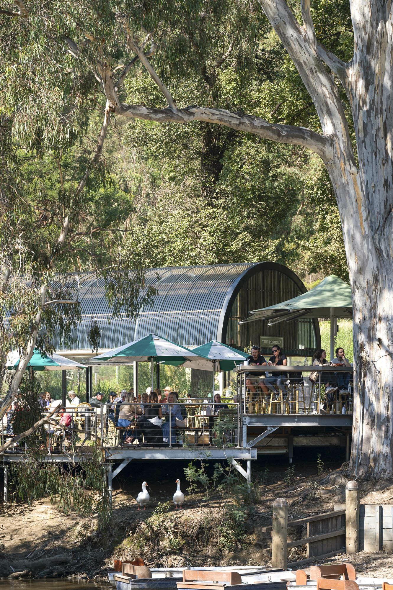 Boroondara Lifestyles040